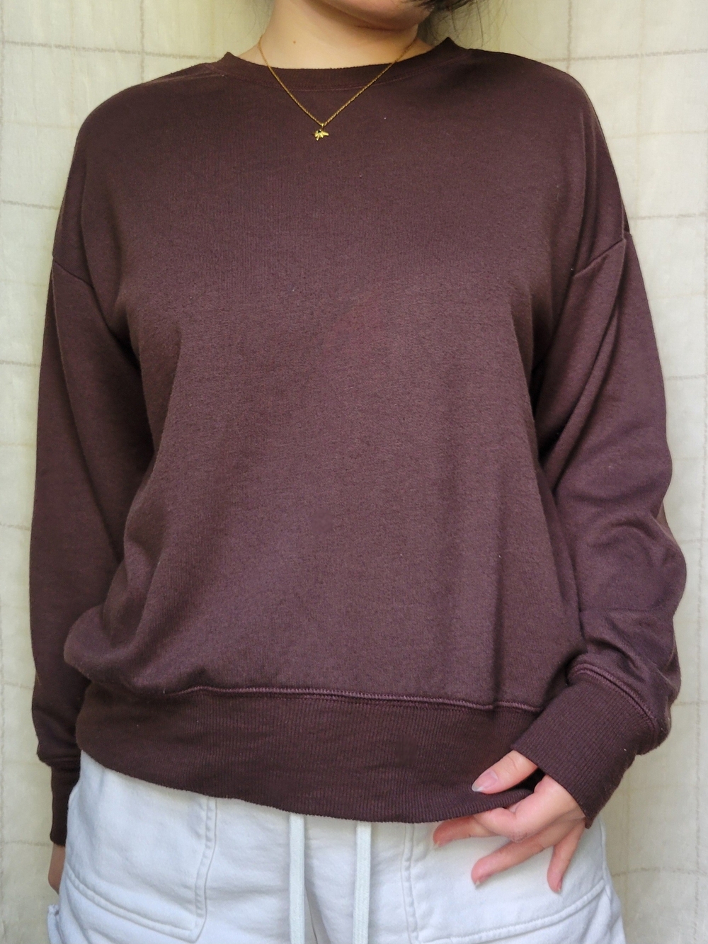 Crewneck Sweater in Dark Brown